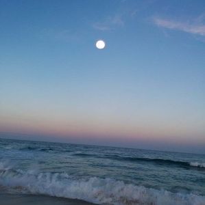 Meet your Posher, Doreen